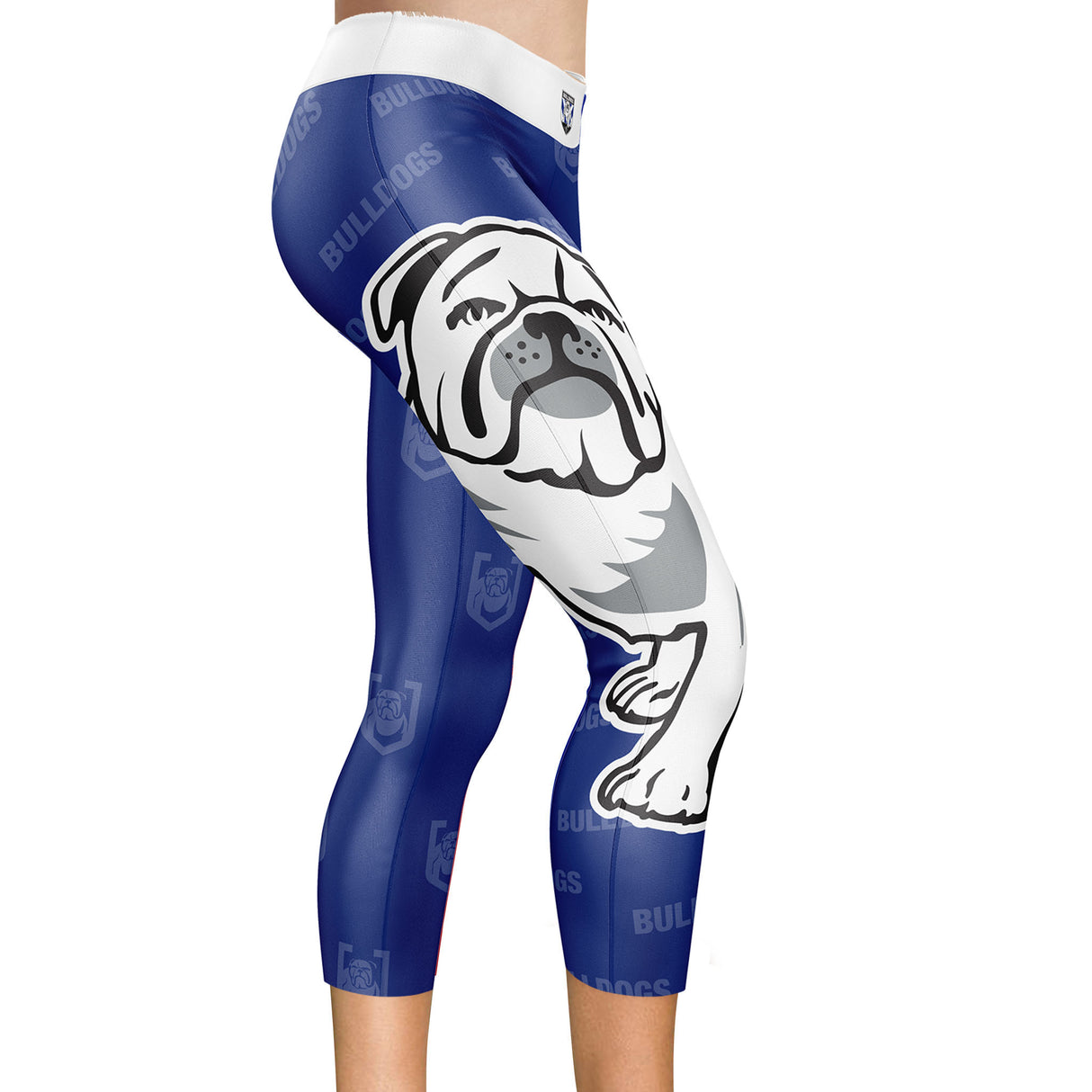 NRL Bulldogs 'Siren' Leggings - Ashtabula