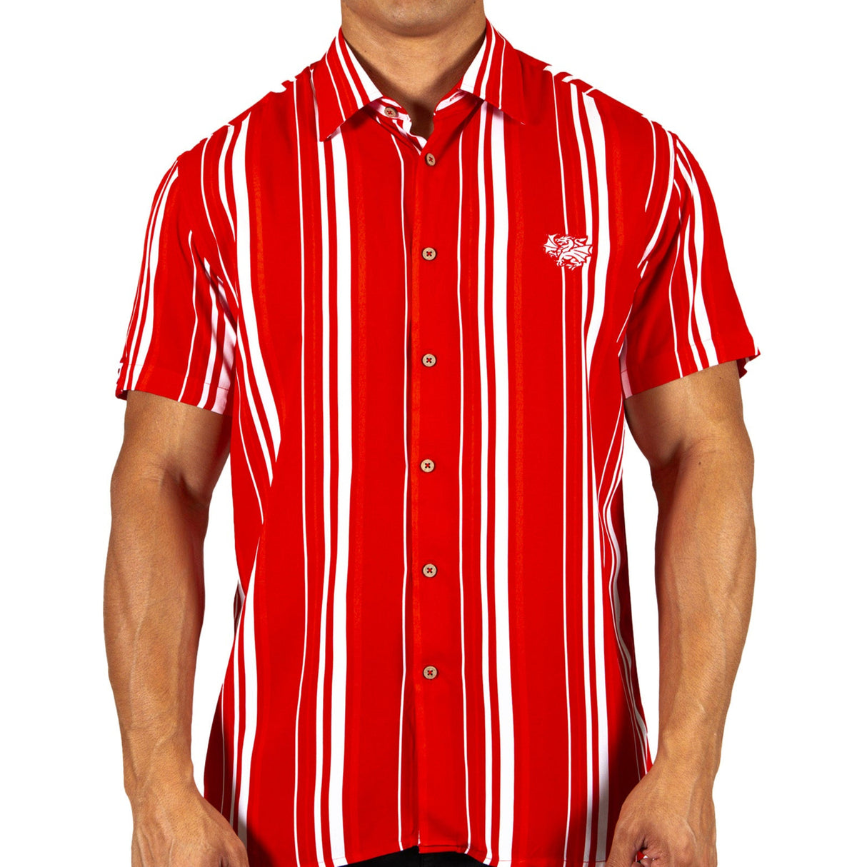 NRL Dragons 'Sorrento' Party Shirt - Ashtabula