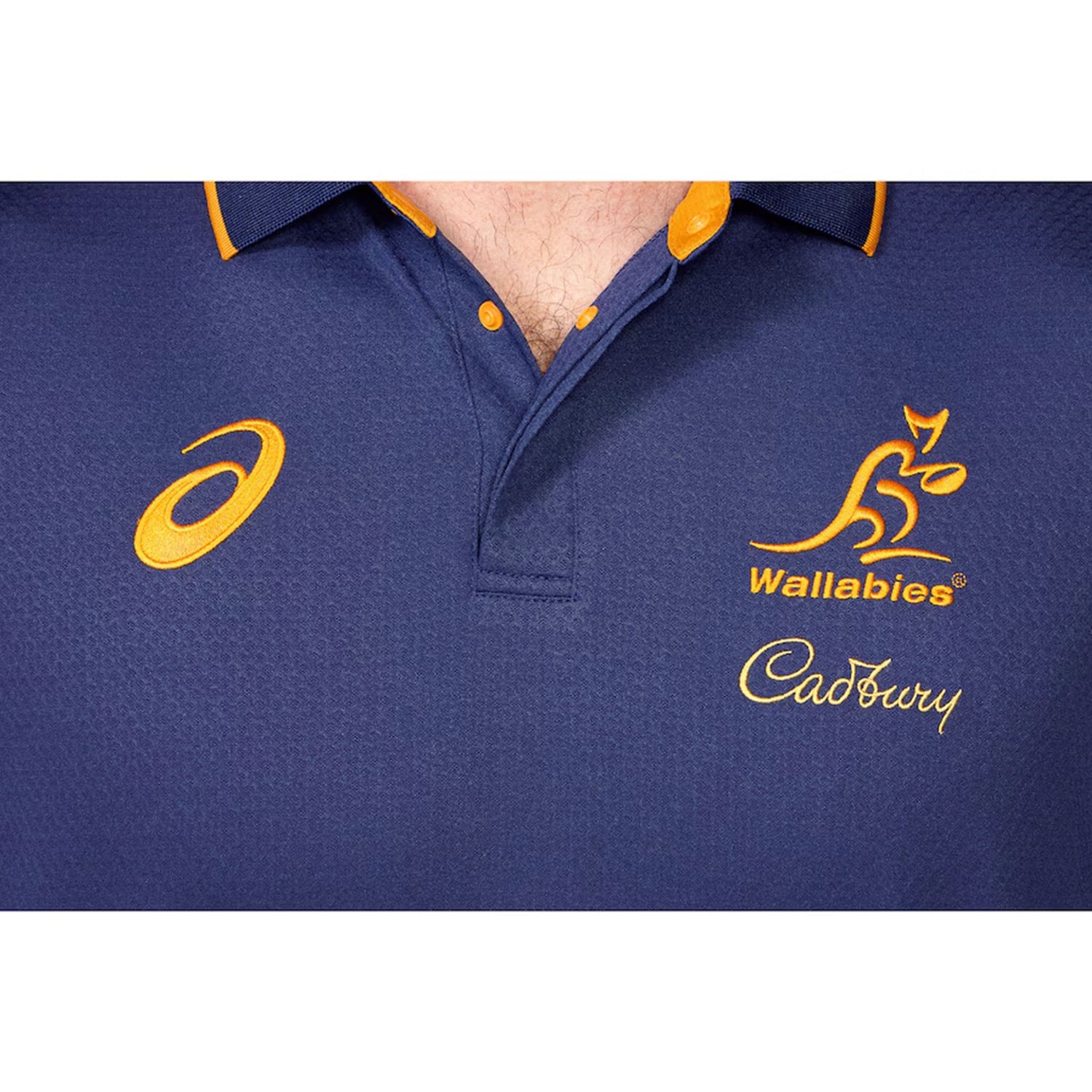 Wallabies Lions Tour Media Polo - Ashtabula