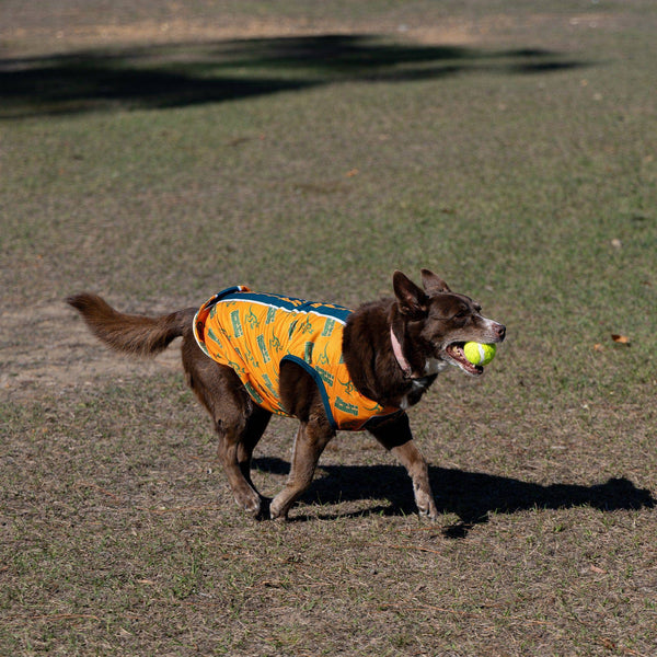 Wallabies 'Wannabe' Dog T-Shirt - Ashtabula